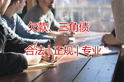 还款未果可申请立案处理